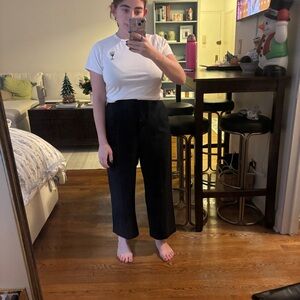 Aritzia Wilfred Effortless Cropped Pants (Black)